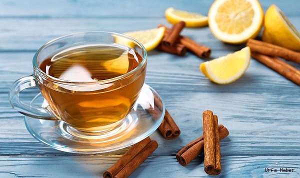 TARÇIN ÇAYININ FAYDALARI NELERDİR? NE KADAR TÜKETMELİYİZ?
