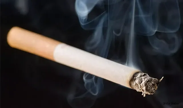 Sigarayı bıraktıktan sonra alınması gereken 7 önlem!