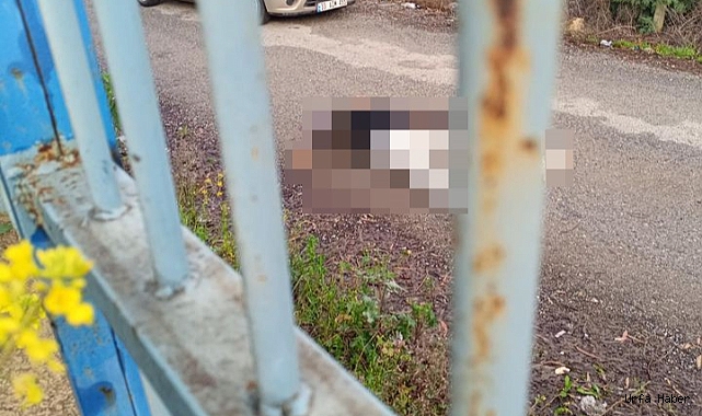 Eski eşini öldüren polis intihar etti