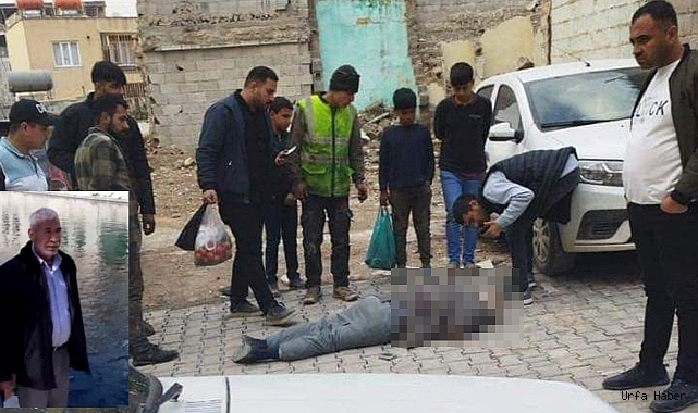 URFA'DA ARABA İÇİN BABASINI ÖLDÜRDÜ