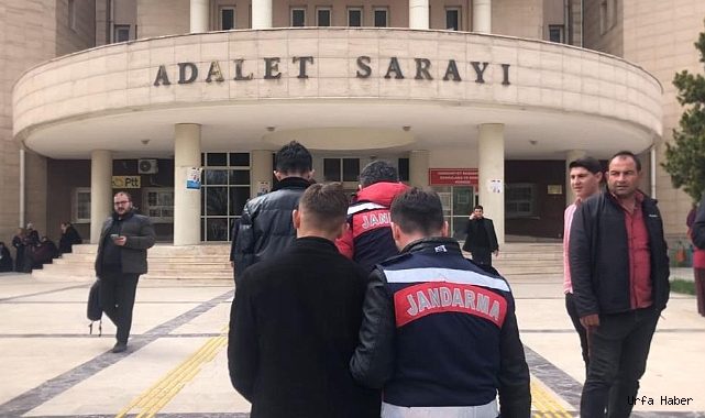 URFA'DA PKK OPERASYONUNDA 7 GÖZALTI