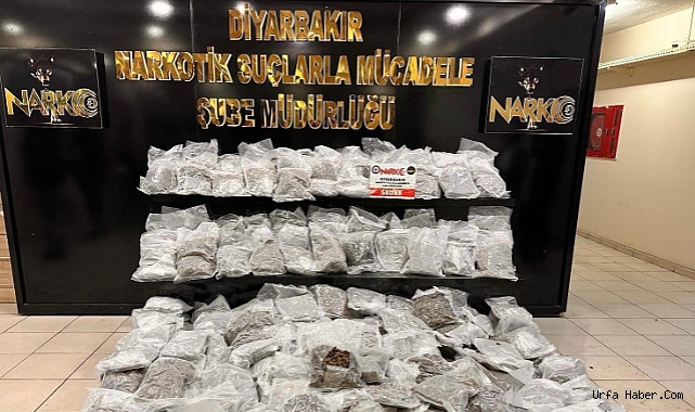 41 İLDE 12 OPERASYONLA 268 KİŞİ YAKALANDI