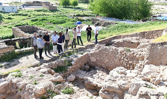 VALİ ŞILDAK'TAN MÜJDELİ HABER