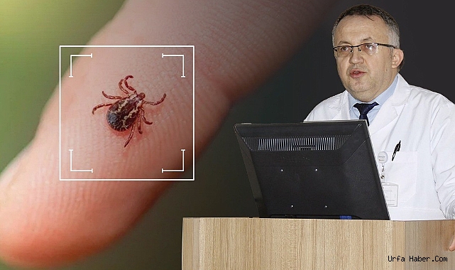 ÖLÜMCÜ KENE SEZONU BAŞLADI