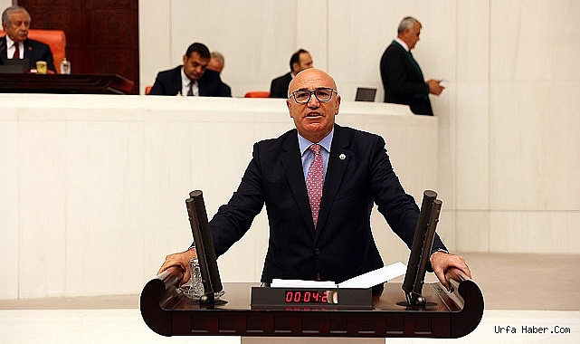 TANAL URFANIN ELEKTRİK SORUNUNU TBMM’YE TAŞIDI