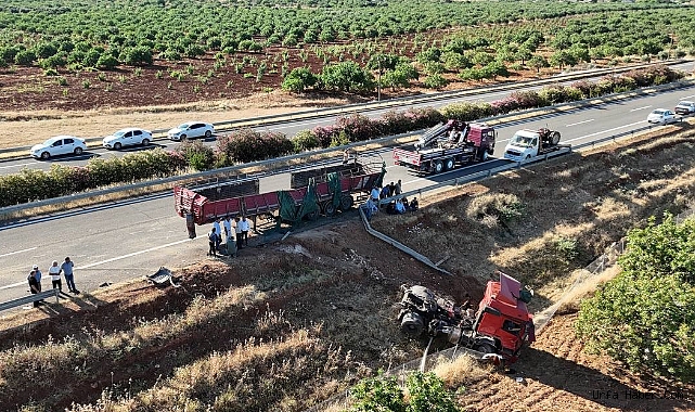 ŞANLIURFA'DA KURBANLIK BOĞALARI TAŞIYAN TIR İLE TRAKTÖR ÇARPIŞTI