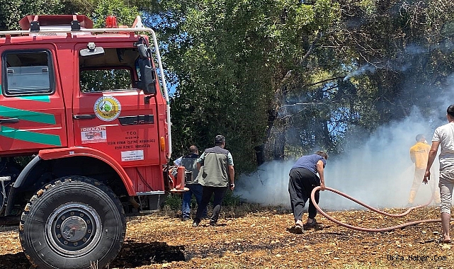 ADANA'DA ORMAN YANGINI KONTROL ALTINA ALINDI