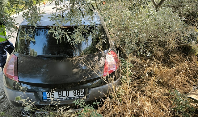 AĞACA ÇARPAN OTOMOBİLİN SÜRÜCÜSÜ HAYATINI KAYBETTİ