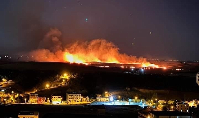 DİYARBAKIR'DA ANIZ YANGINI