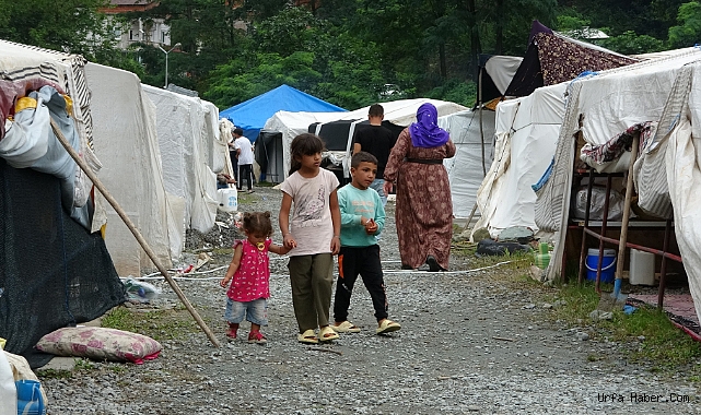 URFALI MEVSİMLİK TARIM İŞÇİLERİ FINDIK HASADI İÇİN ORDU'DA