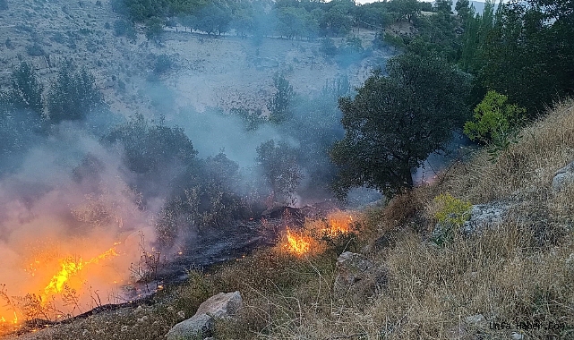 OTLUK VE AĞAÇLIK ALANDA YANGIN