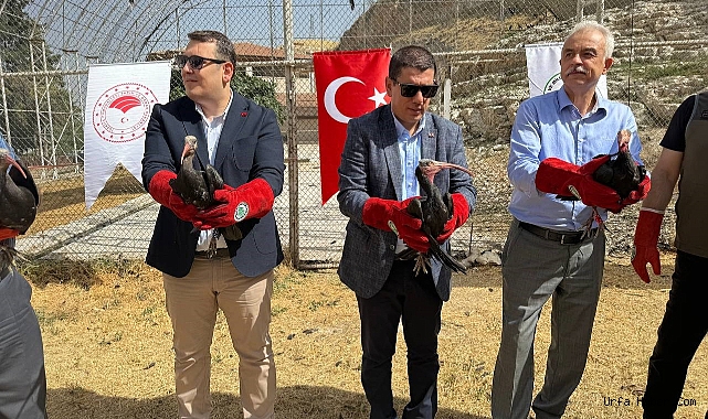 ŞANLIURFA’DA 30 KELAYNAK KUŞU GÖÇ YOLUNA BIRAKILDI