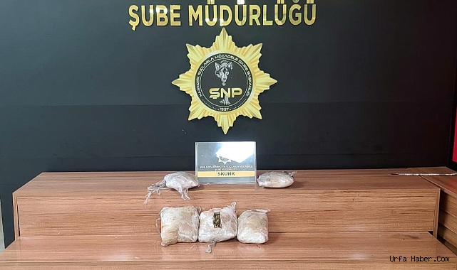 ŞANLIURFA'DA 4 FARKLI BÜYÜK OPERASYON! 11 GÖZALTI