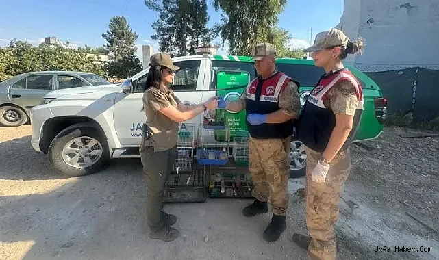 ŞANLIURFA'DA İZİNSİZ SAKA KUŞU BESLEYEN ŞAHSA CEZA
