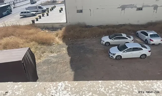 ŞANLIURFA'DA KURUYAN OTLAR VE MAKİLER YANGIN TEHLİKESİ SAÇIYOR