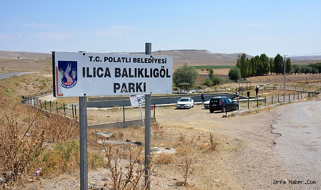 GAZİ BALIKLAR YOK OLMA TEHDİTİ ALTINDA