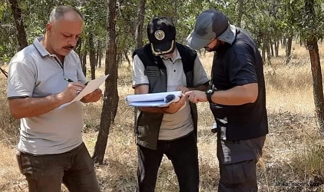 GÖLBAŞI'NDA ORMANLARIN SAĞLIĞI ARAŞTIRILIYOR