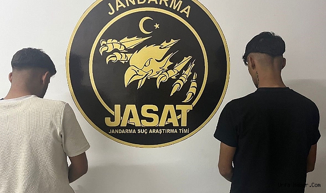 JANDARMA 3 AYRI CİNAYETİN ZANLILARINI YAKALADI
