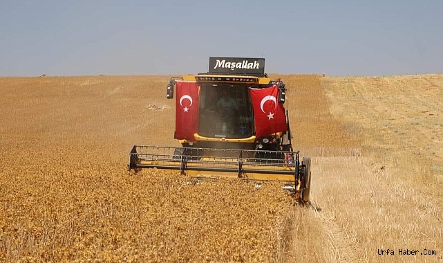 SAFİR BİTKİSİYLE KURAKLIĞIN ÖNÜNE GEÇİLMESİ HEDEFLENİYOR