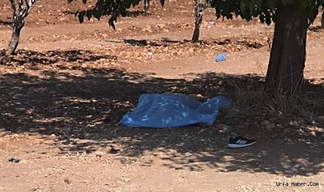 ŞANLIURFA'DA BİR ÖĞRETMEN SALDIRI SONUCU HAYATINI KAYBETTİ