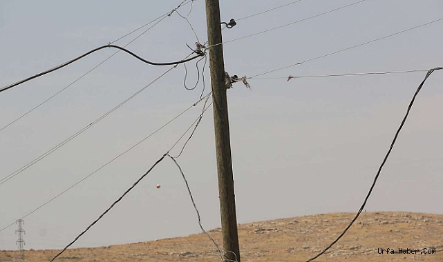 ELEKTRİK DİREĞİNE TIRMANAN ŞAHIS AKIMA KAPILARAK HAYATINI KAYBETTİ
