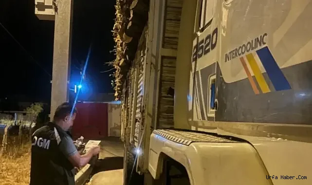 URFA’DA ORMAN KAÇAKÇILIĞINA KARŞI SIKI DENETİM!