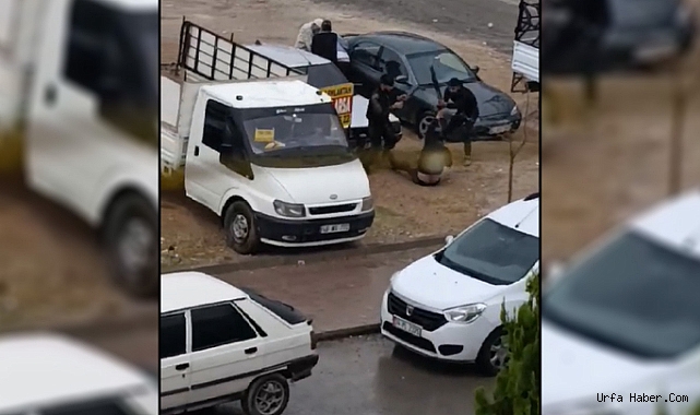 ŞANLIURFA'DAKİ KAVGA ANLARI CEP TELEFONU KAMERALARINA YANSIDI