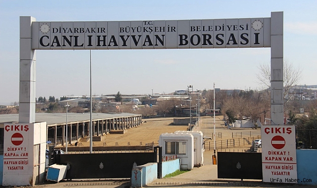 HAYVAN BORSASINDA ÇIKAN KAVGA ŞEHRE TAŞINDI: 1 YARALI