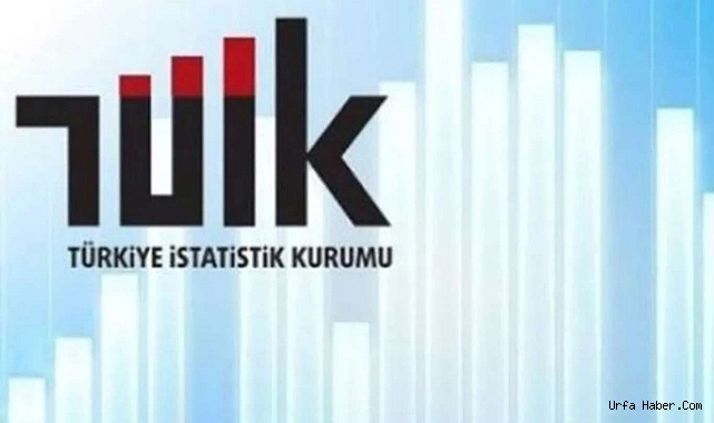 TÜİK 2023 GİRİŞİM İSTATİSTİKLERİNİ AÇIKLADI