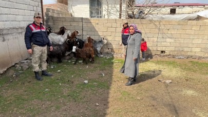 Siverek'te Çalınan 51 Küçükbaş Hayvan Sahibine Teslim Edildi