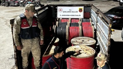 Dev Hırsızlık Çetesi Çökertildi