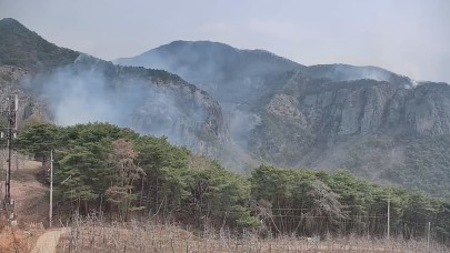 Güney  Kore'de Orman Yangınlarında 26 Kişi Öldü