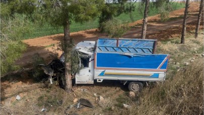 Ceylanpınar’da Kamyonet Ağaca Çarptı: 1 Yaralı