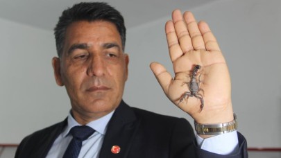 Akrep Zehri 10 Bin Dolar! Üretici Destek Bekliyor