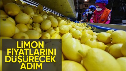 Son Dakika! Limon İhracatı Durduruldu