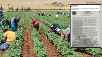 Tarım İşçilerine Yeni Ücret Düzenlemesi Yapıldı