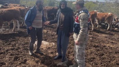 Hırsızlık Zanlısı Büyükbaş Hayvanlarla Yakalandı