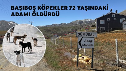 Sahipsiz Köpekler 72 Yaşındaki Adamı Öldürdü