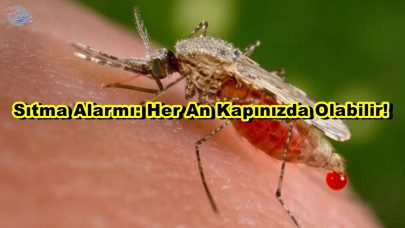 Sıtma Krizi: Sivrisinekler Birer Katil Olabilir!