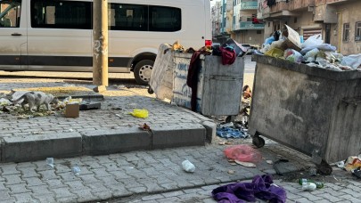 Eyyübiye'de Çöp Sorunu Vatandaşların Tepkisini Çekti