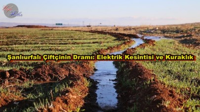 Kuraklık ve Elektrik Kesintisi Şanlıurfa’da Çiftçiyi Vurdu