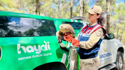 Viranşehir kırsalında yaralı kartal bulundu