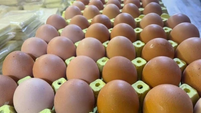 Yumurtanın Her Parçası Altın Değerinde!