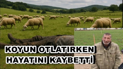 Ceylanpınar'da Karanlıkta Gelen Ölüm!