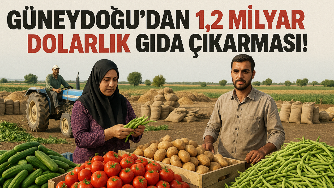 Güneydoğu’dan 1,2 Milyar Dolarlık Gıda Çıkarması!