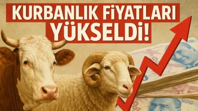 Kurbanlık Fiyatları Yükseldi!