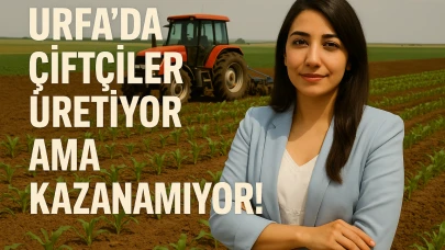 Urfa’da Çiftçiler Üretiyor Ama Kazanamıyor!
