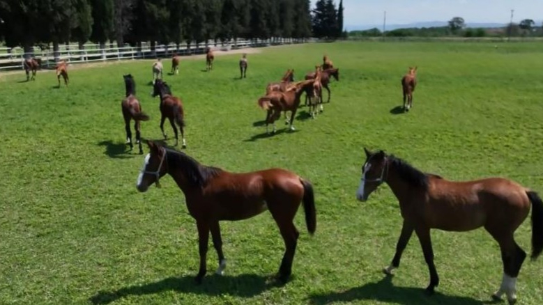 Yarış Pistlerinin Şampiyonları Gökyüzünde Görüntülendi!