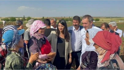 Urfa’da Çiftçiler Üretiyor Ama Kazanamıyor!