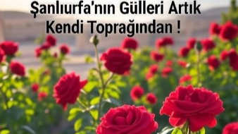 Şanlıurfa'nın Gülleri Artık Kendi Toprağından !